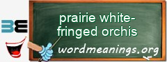 WordMeaning blackboard for prairie white-fringed orchis